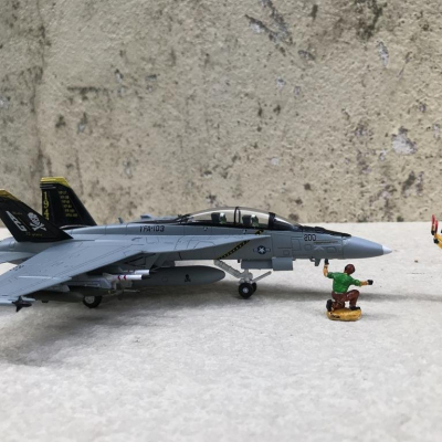 Mô hình Máy bay F-18F/A Super Hornet  tỷ lệ 1:100