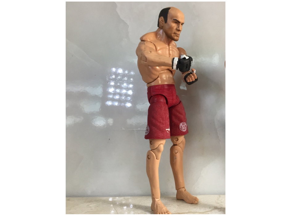 MÔ HÌNH Nhân vật Đấu Võ MMA